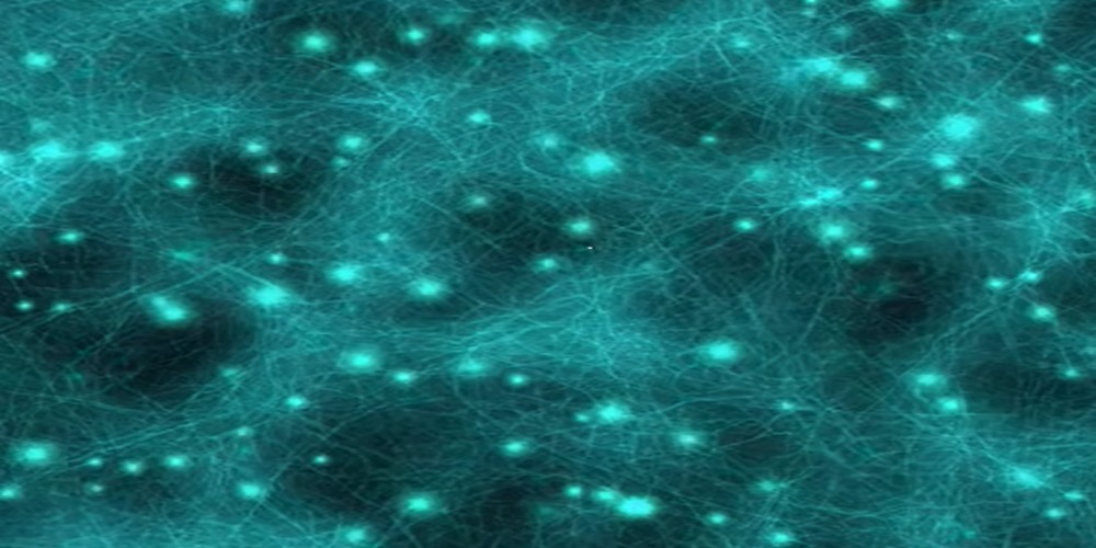 Wetware el internet de las plantas
